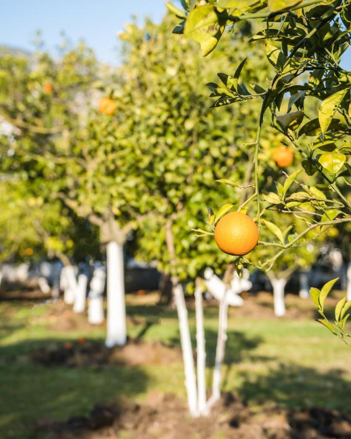 Oase Garden Hotel Çıralı Kültér fotó